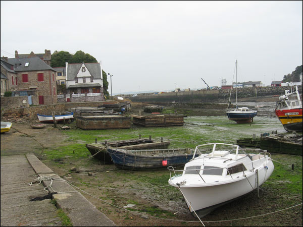 vielles carcasses de bateaux