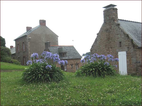 maisons types de l'île 