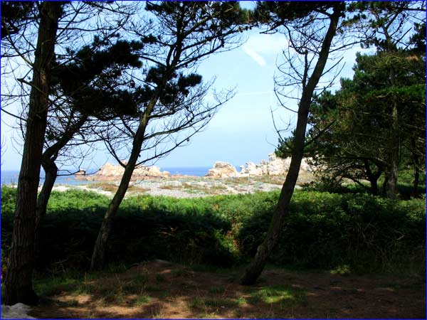 vue sur la mer et les rochers