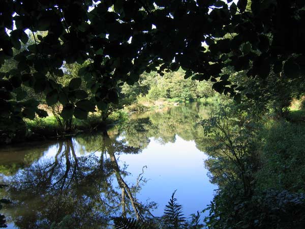 rivière et sa guirlande de verdure