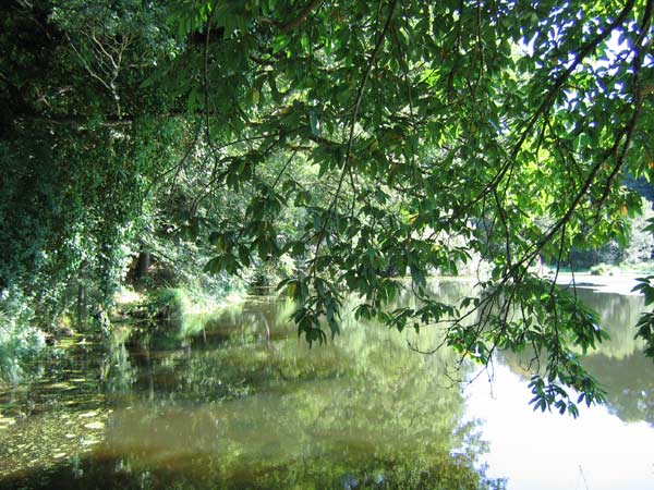 rivière de la vallée du Leguer