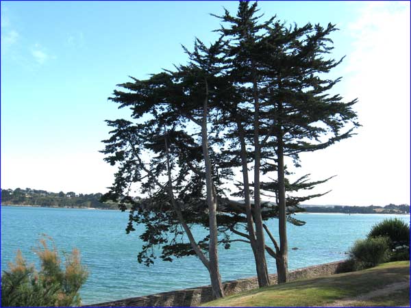 vue de la mer bleue