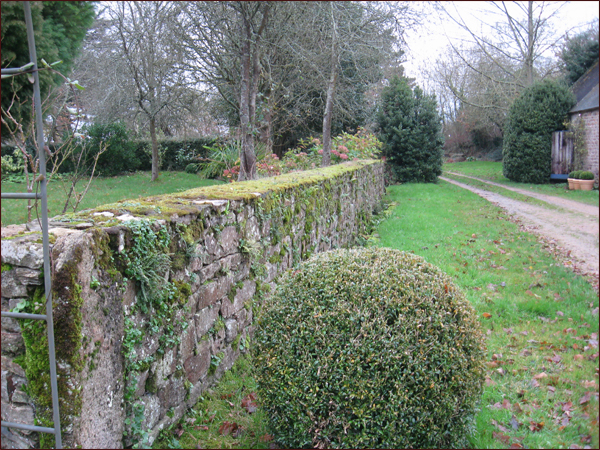 BOULE DE BUIS