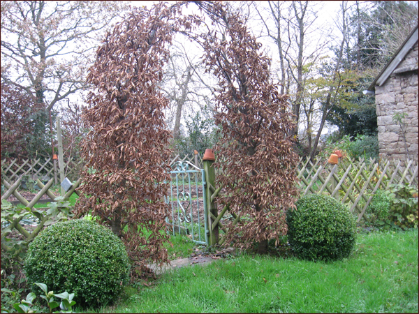 entree-du-potager