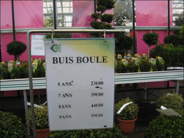 prix-des-buis