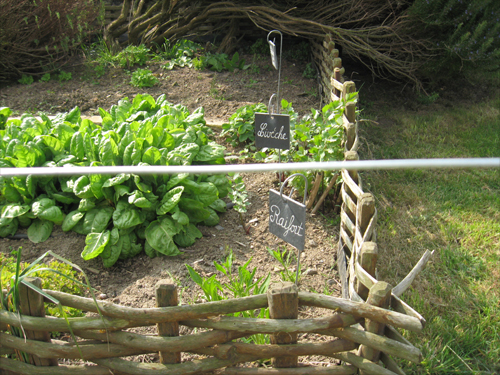 jardin médiéval