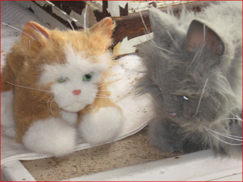 les-chats-peluches