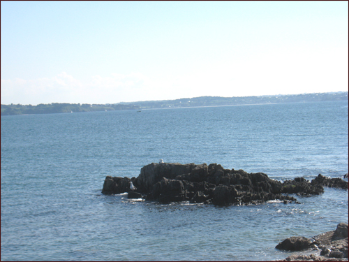repos-des-goelands