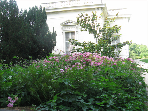 bel encadrement de fleurs 