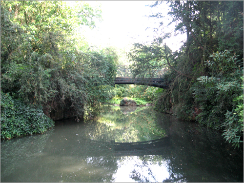 magnifique-pont