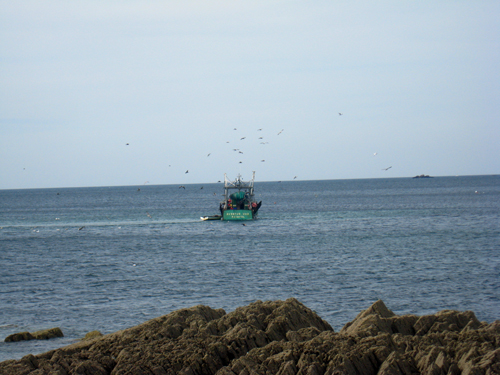 bateau-de-peche