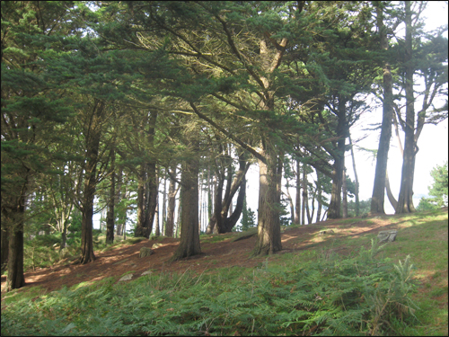 promenade-au-dourve