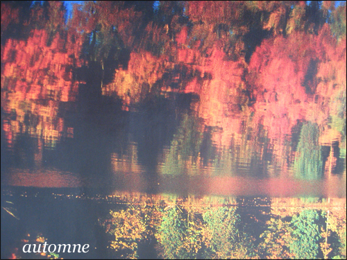 automne-et-ses-couleur