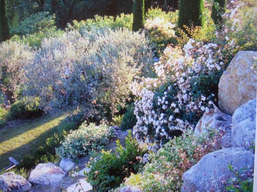 jardin mediterranéen