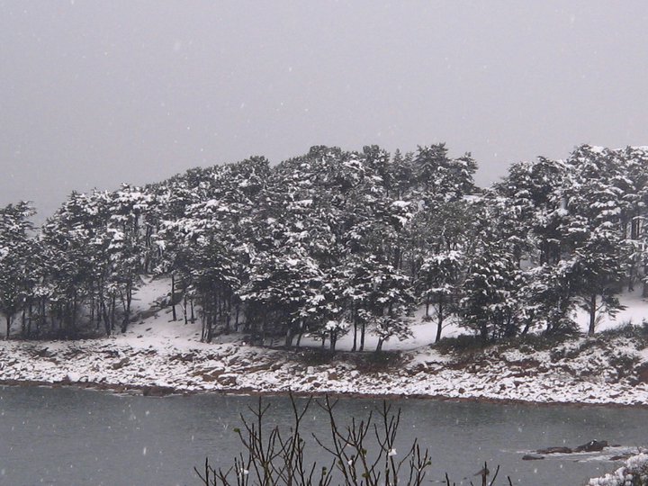 locquemeau - le Dourven