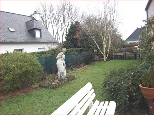 coin avec arbre coupé