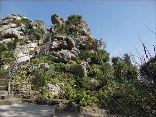 rochers-de-plantes-grasses