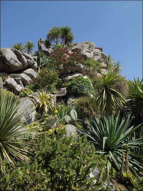 rochers-plantes