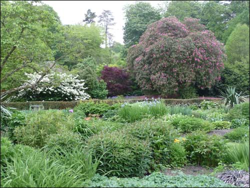 verdure-et-plantes