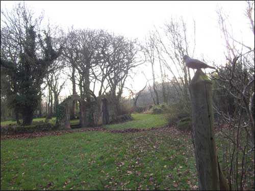 autre-vue-du-jardin