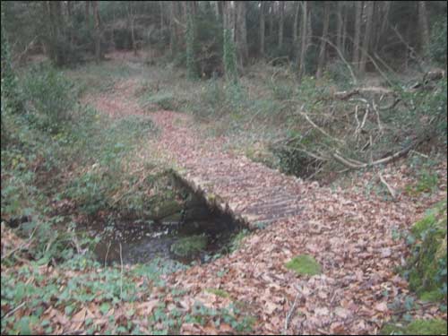 petit-pont-de-bois